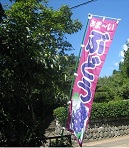 ぶどう13